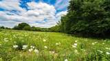 ESMT County Road 302 - Photo 12