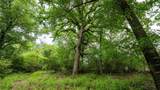 ESMT County Road 302 - Photo 16