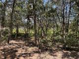 109 High View Ranch Dr - Photo 22