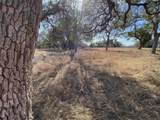 304 Lightning Ranch Pt - Photo 7