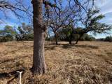 304 Lightning Ranch Pt - Photo 9