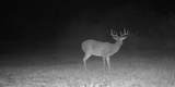 375 County Road 401 Rd - Photo 10