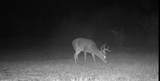 375 County Road 401 Rd - Photo 11