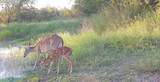 375 County Road 401 Rd - Photo 16