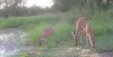 375 County Road 401 Rd - Photo 17