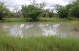 375 County Road 401 Rd - Photo 7
