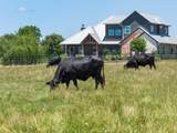 1801 County Road 216 - Photo 32