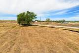 415 Beckham Dr - Photo 12
