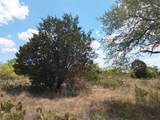 LOT 201 Sundance View Pt - Photo 10