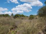 LOT 201 Sundance View Pt - Photo 11