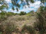 LOT 201 Sundance View Pt - Photo 9