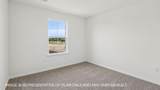 1844 Dandy Brush Dr - Photo 29