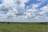 TBD County Road 109 - Photo 11