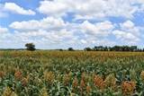 TBD County Road 109 - Photo 4