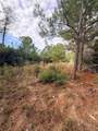 127 Koali Dr - Photo 15