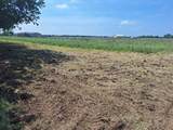 351 County Road 224 - Photo 2