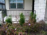 288 Caddo Bnd - Photo 2