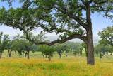 3431 Klett Ranch Road - Photo 23