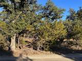 39 Persimmon Dr - Photo 4