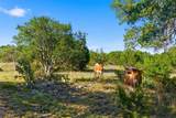 3303 Fearless Treadway - Photo 22