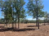 26.56 Acres Trautwein Rd - Photo 20