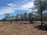 26.56 Acres Trautwein Rd - Photo 24