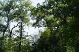 TBD County Road 322 - Photo 12
