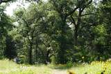 TBD County Road 322 - Photo 13