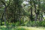 TBD County Road 322 - Photo 18