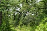 TBD County Road 322 - Photo 2