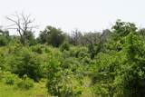 TBD County Road 322 - Photo 5