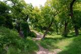 Lot 156 Hilandale Dr - Photo 31