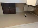 3008 Cat Claw Cv - Photo 14