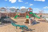 120 Desert Hare Dr - Photo 9