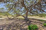 140 Lantana Dr - Photo 22