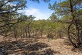1725 Cripple Creek Sta - Photo 30