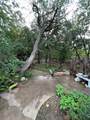 905 Neans Dr - Photo 6