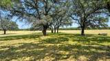680 County Road 549 - Photo 25