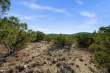 10678 Deer Canyon Rd - Photo 26