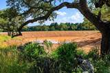 3736-5 County Road 113 Rd - Photo 11