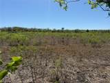 12129 Glass Rd - Photo 5