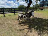 475 Happy Trl - Photo 40