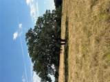 TBD County Road 222 - Photo 4