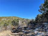 305 Walnut Springs Ranch Rd - Photo 17