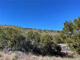 305 Walnut Springs Ranch Rd - Photo 18