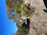 305 Walnut Springs Ranch Rd - Photo 19