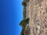 305 Walnut Springs Ranch Rd - Photo 4