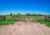 000 County Rd 429 - Photo 13
