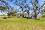 225 Cosmos Ln - Photo 40