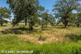 250 Ferguson Loop - Photo 2